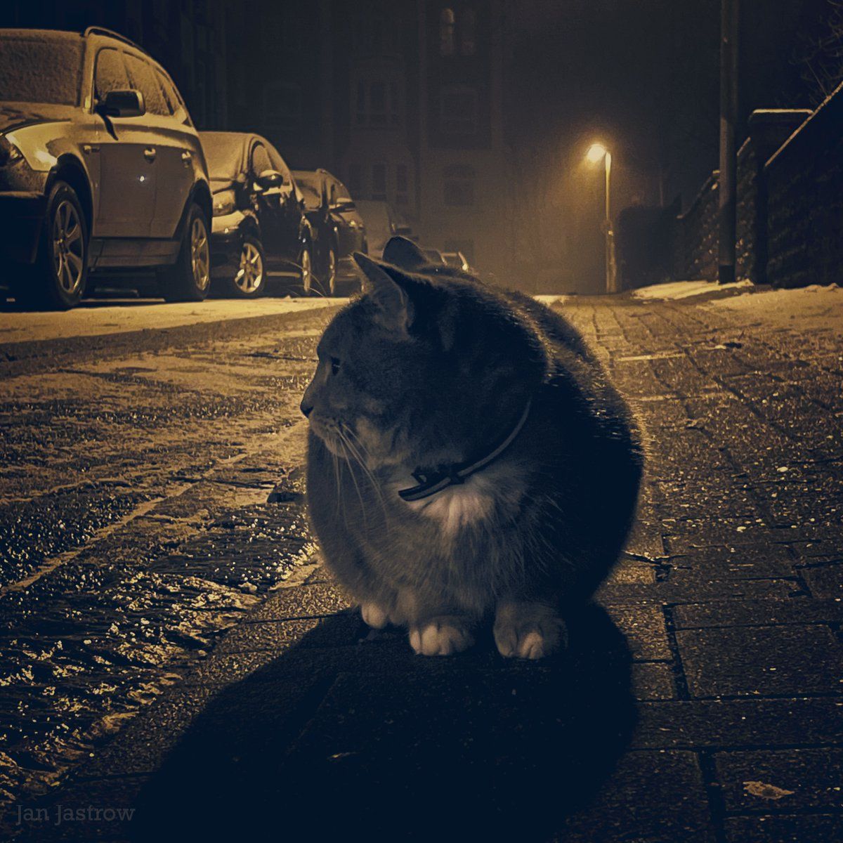 oh my god twitter doesn’t include alt text from images in their API