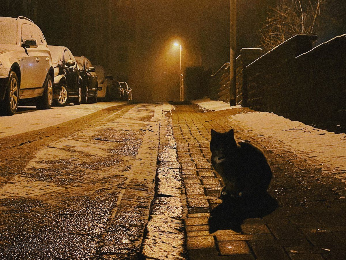 oh my god twitter doesn’t include alt text from images in their API