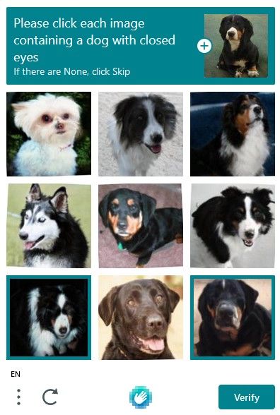 oh my god twitter doesn’t include alt text from images in their API
